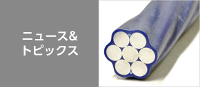 ニュース&トピックス