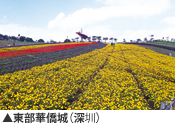 東部華僑城(深圳)